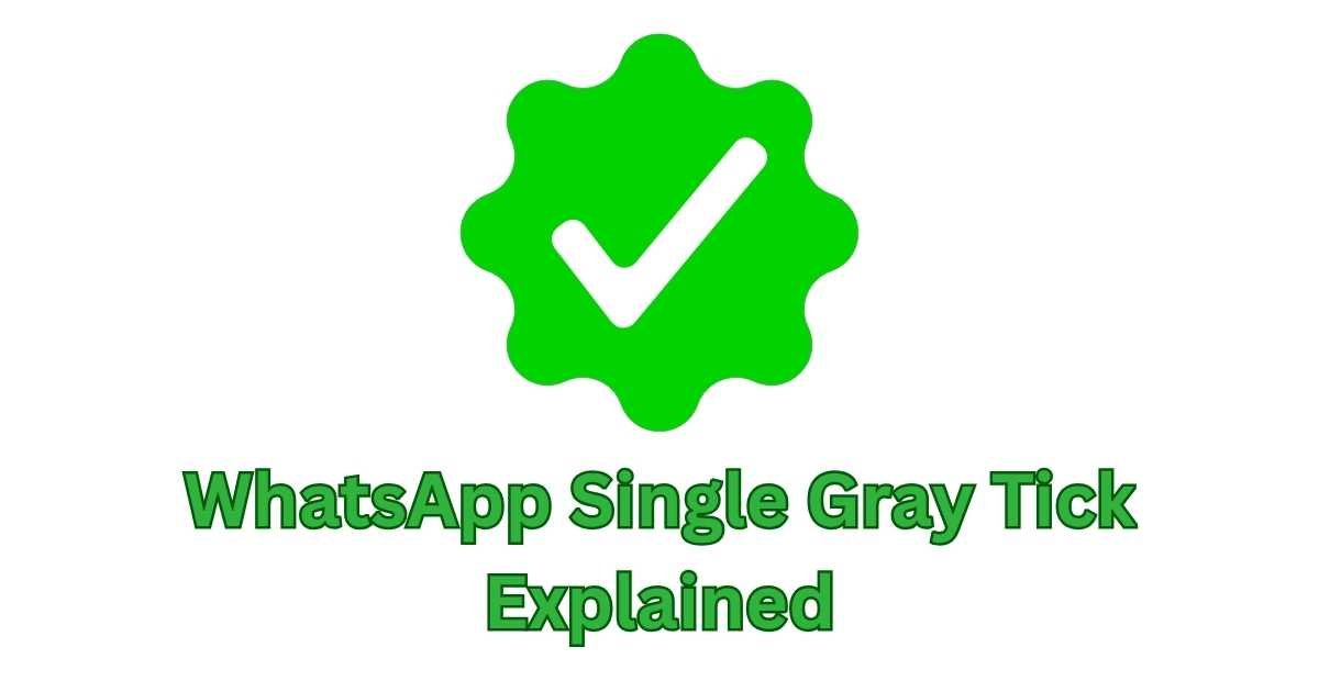 WhatsApp Single Gray Tick Explained